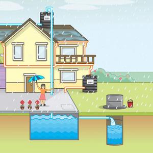 It's Easy to Harvest Rainwater for Your Landscape Irrigation | TriState ...